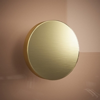 Brushed Brass