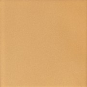 House Beautiful Champagne Self-Adhesive Glass Splashback